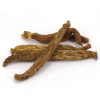 Ginseng Root, White American 1/4 Oz. (Panax quinquifolia)